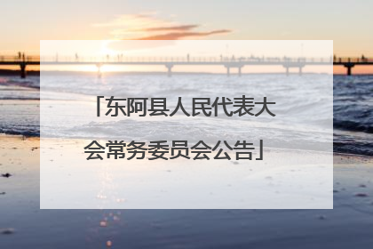 东阿县人民代表大会常务委员会公告